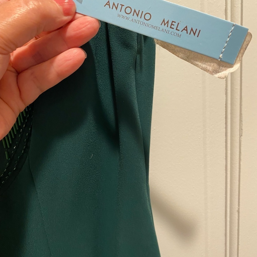 ANTONIO MELANI Green Sleeveless Dress - Picture 7 of 8